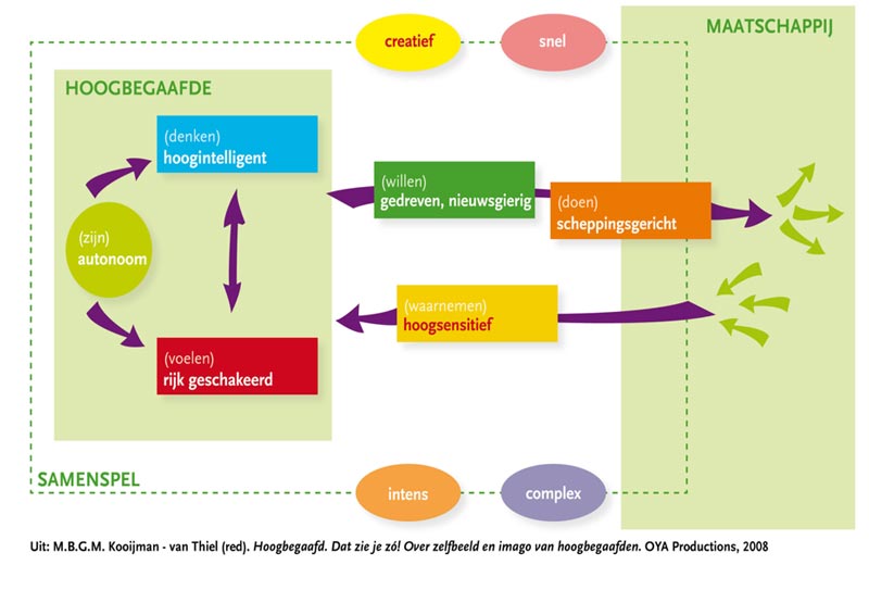 theorie hoogbegaafdheid